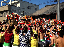 It raise all at once seven mikoshi.